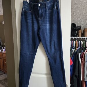 Judy Blue Dark Indigo Skinny Jeans
